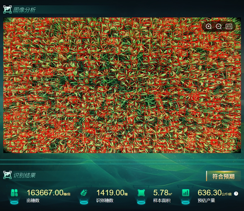 产量预估_副本.jpg