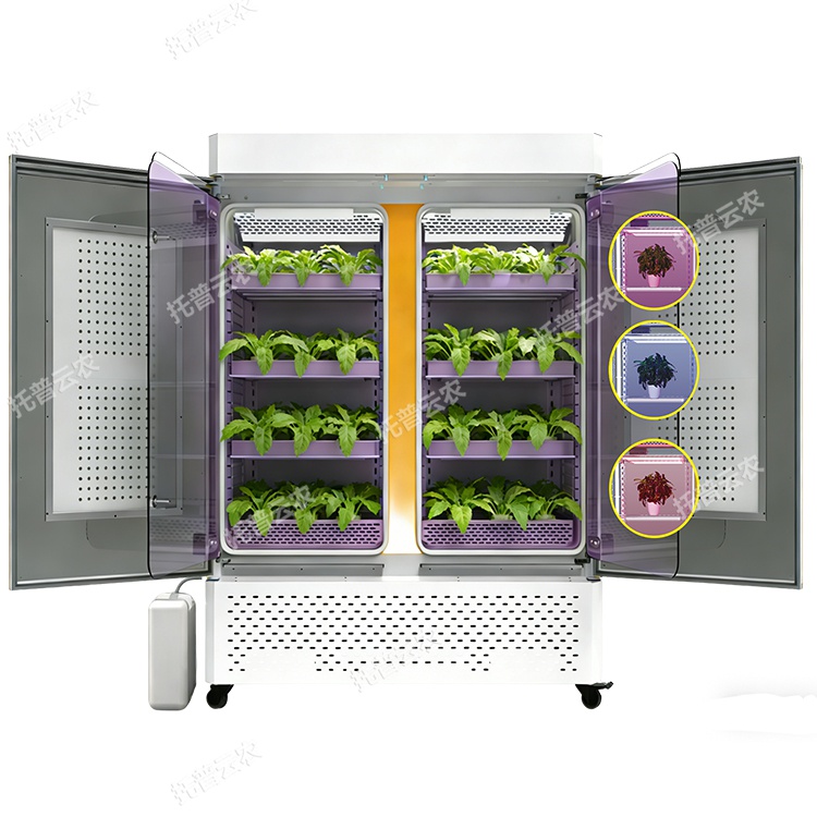 可调光谱植物培养箱