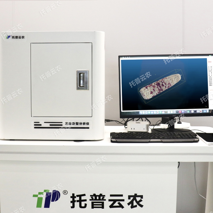 三维玉米果穗考种系统