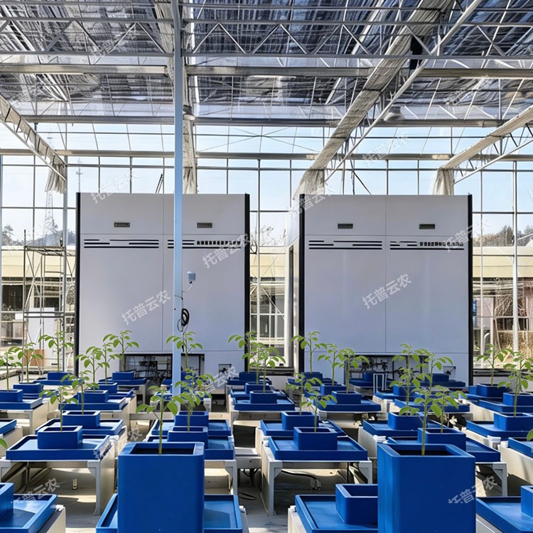 高通量植物表型采集分析平台